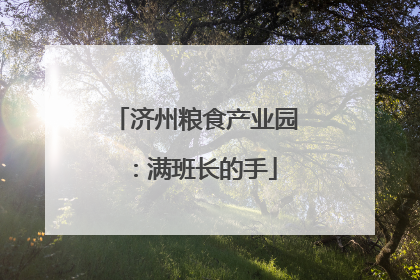 济州粮食产业园：满班长的手
