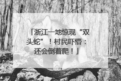 浙江一地惊现“双头蛇”！村民吓懵：还会倒着爬！