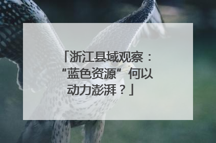 浙江县域观察：“蓝色资源”何以动力澎湃？