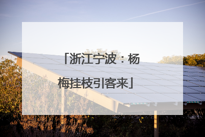 浙江宁波：杨梅挂枝引客来
