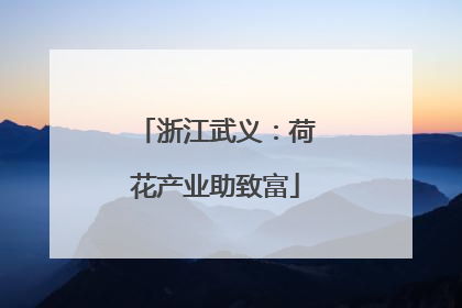 浙江武义：荷花产业助致富