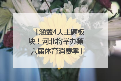涵盖4大主题板块！河北将举办第六届体育消费季