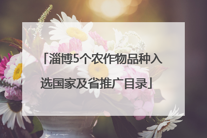 淄博5个农作物品种入选国家及省推广目录
