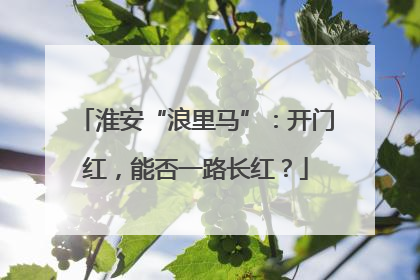 淮安“浪里马”：开门红，能否一路长红？
