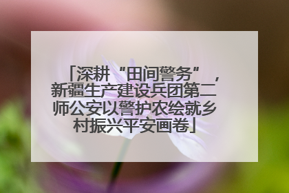 深耕“田间警务”，新疆生产建设兵团第二师公安以警护农绘就乡村振兴平安画卷