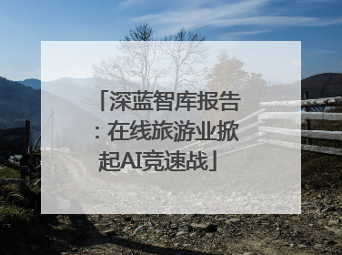 深蓝智库报告：在线旅游业掀起AI竞速战