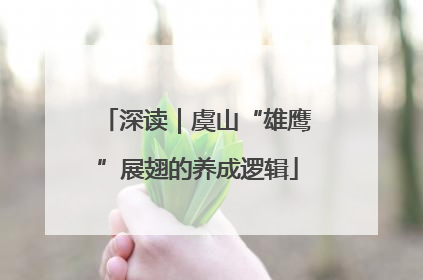 深读｜虞山“雄鹰”展翅的养成逻辑