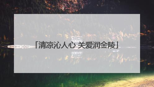 清凉沁人心 关爱润金陵