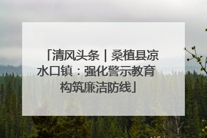清风头条｜桑植县凉水口镇：强化警示教育 构筑廉洁防线