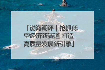 渤海潮评｜抢抓低空经济新赛道 打造高质量发展新引擎