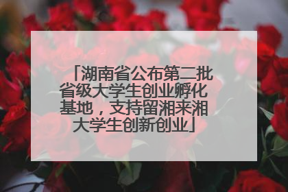 湖南省公布第二批省级大学生创业孵化基地，支持留湘来湘大学生创新创业