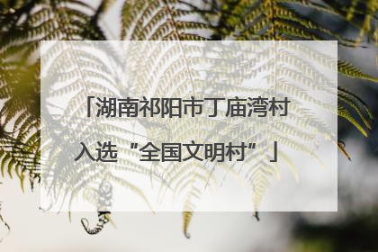 湖南祁阳市丁庙湾村入选“全国文明村”