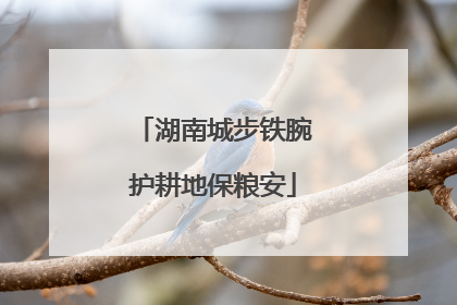 湖南城步铁腕护耕地保粮安
