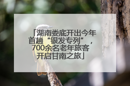 湖南娄底开出今年首趟“银发专列”，700余名老年旅客开启甘南之旅