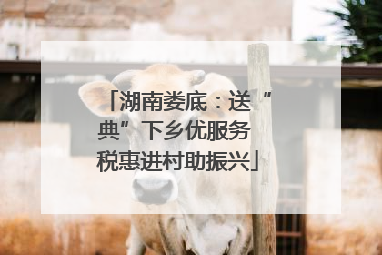 湖南娄底：送“典”下乡优服务 税惠进村助振兴