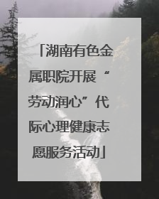 湖南有色金属职院开展“劳动润心”代际心理健康志愿服务活动