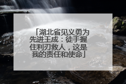 湖北省见义勇为先进王成：徒手握住利刃救人，这是我的责任和使命