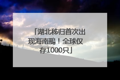 湖北秭归首次出现海南鳽！全球仅存1000只