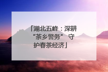 湖北五峰：深耕“茶乡警务” 守护春茶经济