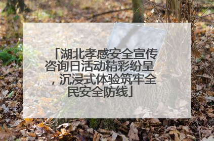 湖北孝感安全宣传咨询日活动精彩纷呈，沉浸式体验筑牢全民安全防线