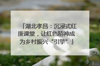 湖北孝昌：沉浸式红廉课堂，让红色精神成为乡村振兴“引擎”