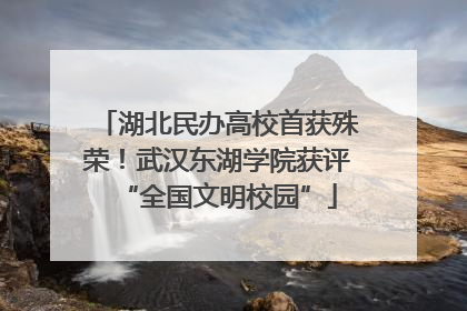 湖北民办高校首获殊荣！武汉东湖学院获评“全国文明校园”