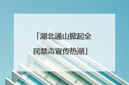 湖北通山掀起全民禁毒宣传热潮