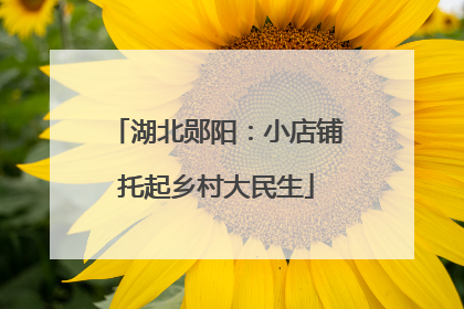 湖北郧阳：小店铺托起乡村大民生