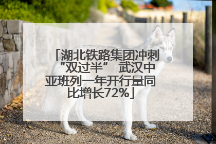 湖北铁路集团冲刺“双过半” 武汉中亚班列一年开行量同比增长72%