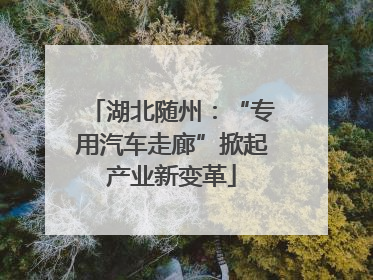 湖北随州：“专用汽车走廊”掀起产业新变革