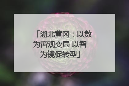 湖北黄冈：以数为窗观变局 以智为镜促转型