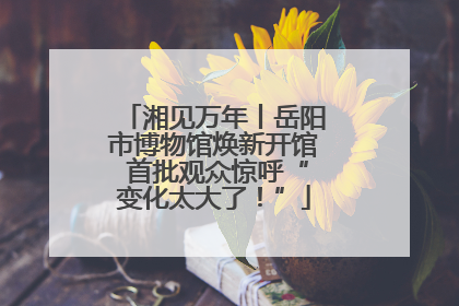 湘见万年丨岳阳市博物馆焕新开馆 首批观众惊呼“变化太大了！”