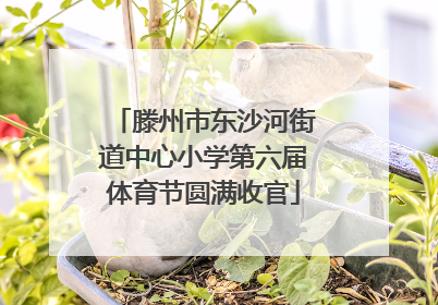 滕州市东沙河街道中心小学第六届体育节圆满收官