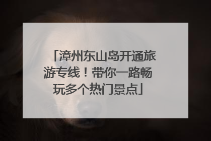 漳州东山岛开通旅游专线！带你一路畅玩多个热门景点