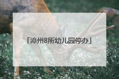 漳州8所幼儿园停办