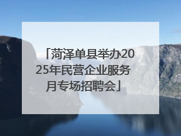 菏泽单县举办2025年民营企业服务月专场招聘会
