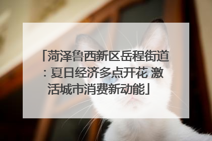 菏泽鲁西新区岳程街道：夏日经济多点开花 激活城市消费新动能