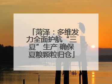 菏泽：多维发力全面护航“三夏”生产 确保夏粮颗粒归仓