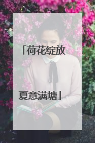 荷花绽放 夏意满塘