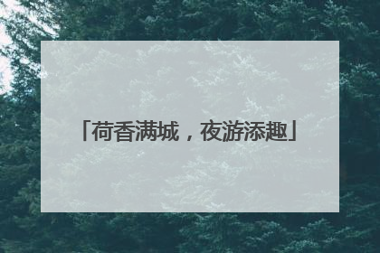 荷香满城，夜游添趣