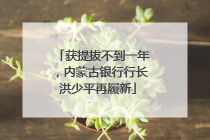 获提拔不到一年，内蒙古银行行长洪少平再履新