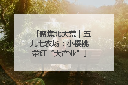 聚焦北大荒｜五九七农场：小樱桃带红“大产业”