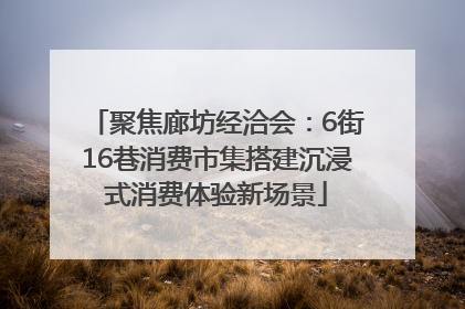 聚焦廊坊经洽会：6街16巷消费市集搭建沉浸式消费体验新场景