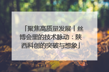 聚焦高质量发展丨丝博会里的技术脉动：陕西科创的突破与想象
