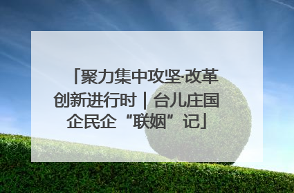 聚力集中攻坚·改革创新进行时｜台儿庄国企民企“联姻”记