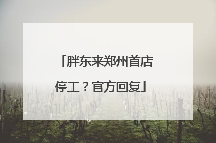 胖东来郑州首店停工？官方回复