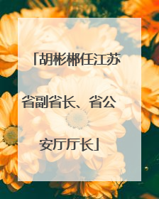 胡彬郴任江苏省副省长、省公安厅厅长