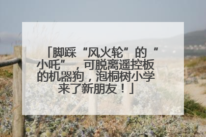 脚踩“风火轮”的“小吒”，可脱离遥控板的机器狗，泡桐树小学来了新朋友！