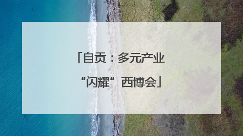 自贡：多元产业“闪耀”西博会