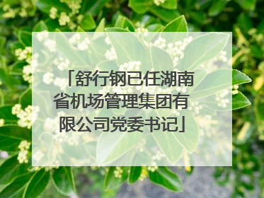 舒行钢已任湖南省机场管理集团有限公司党委书记